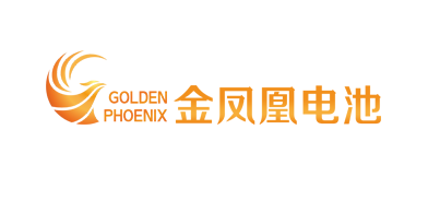 湛江电池